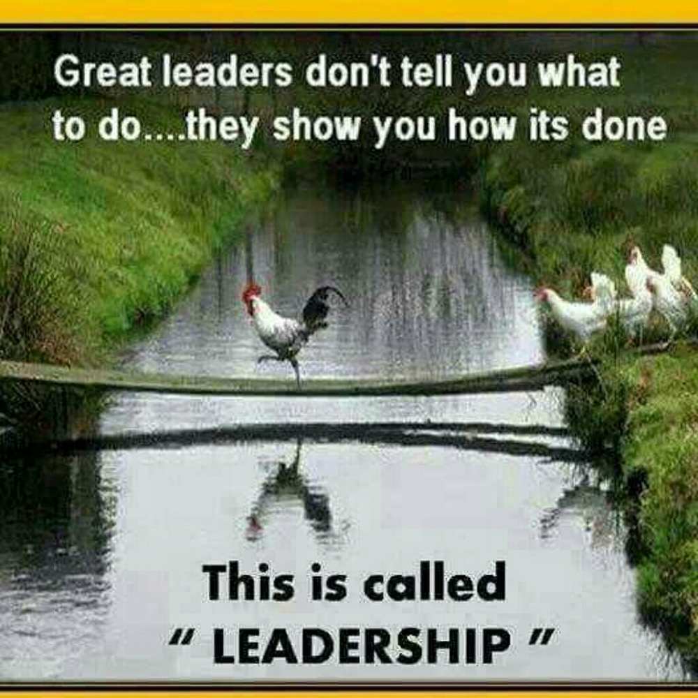 Meet your Posher, Michelle