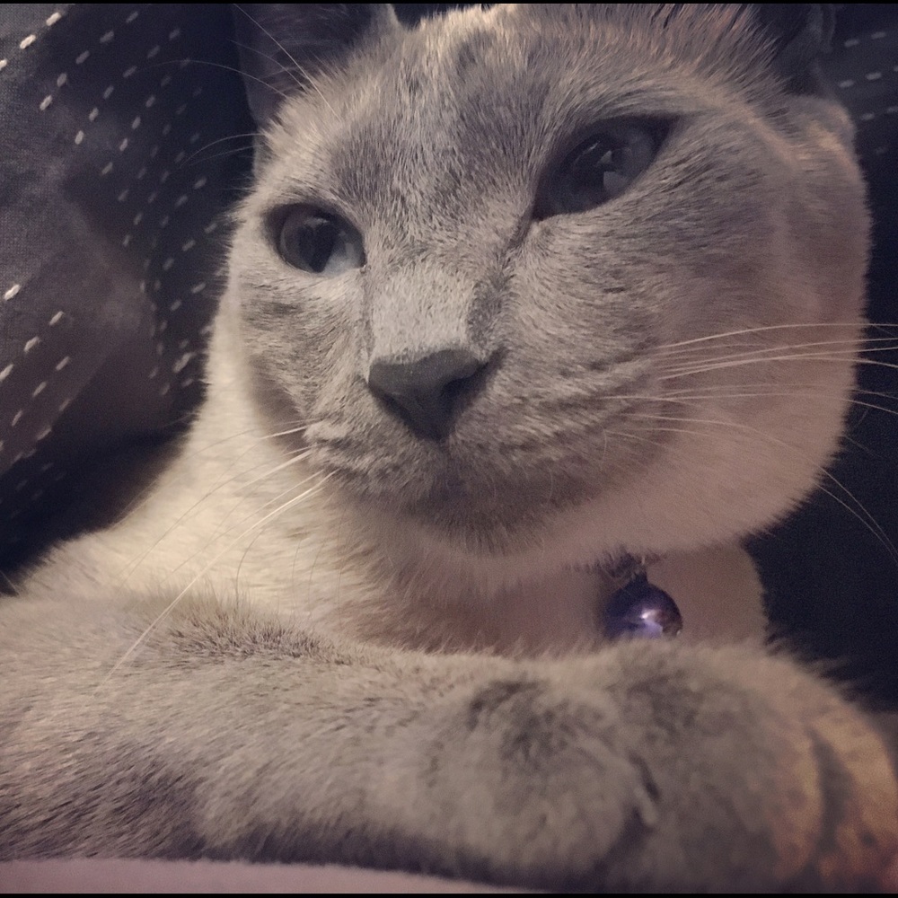 Meet your Posher, Jay