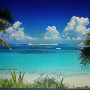 Meet your Posher, Viviana