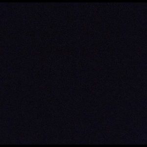 Meet your Posher, Albert