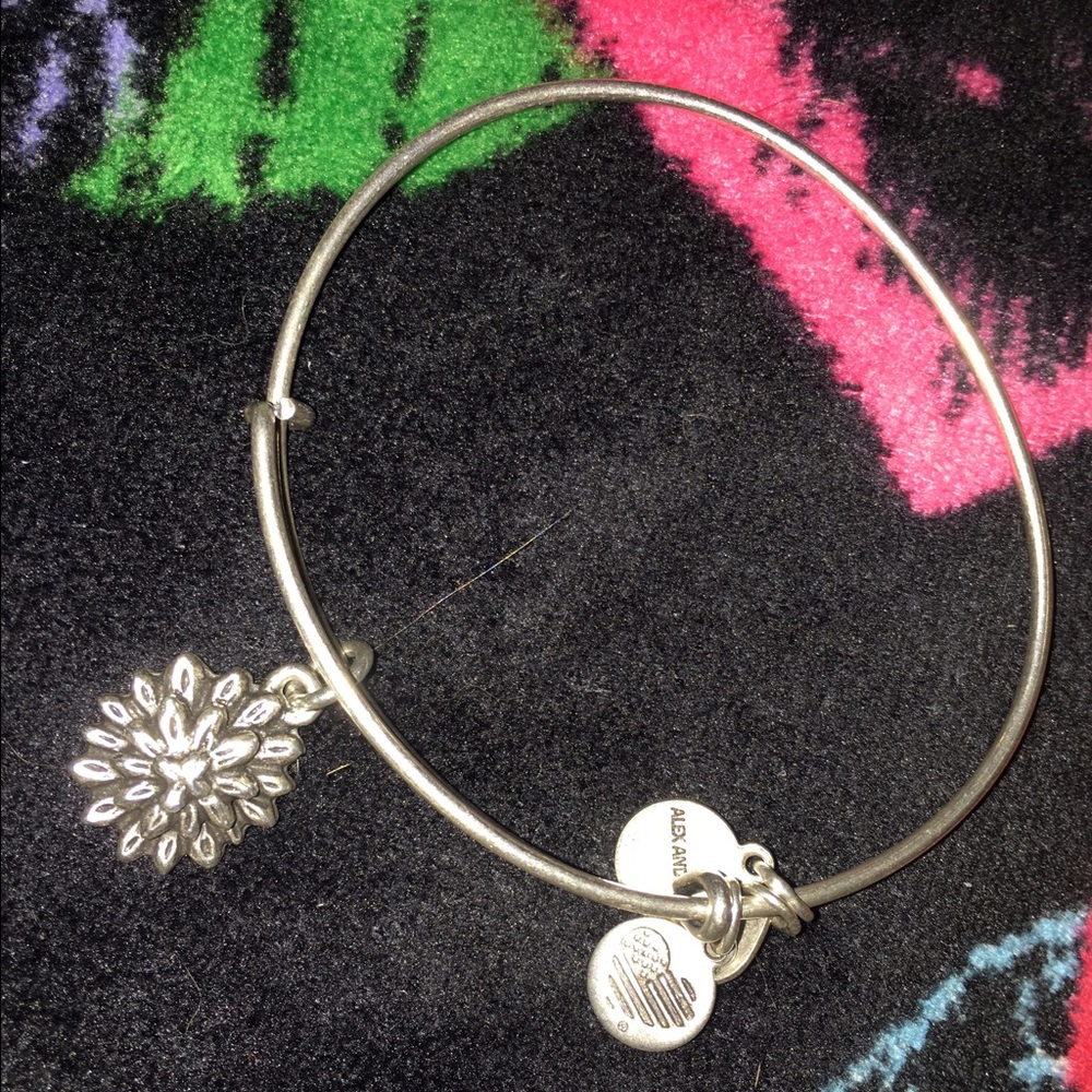 Alex and ani