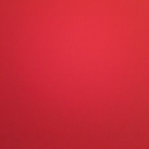 Meet your Posher, Daisy