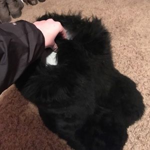 Never worn ugg fluff momma boots.