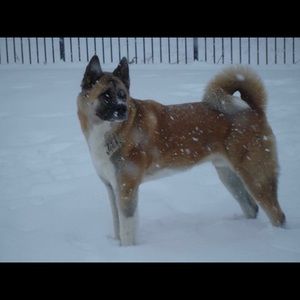 Meet your Posher, Patricia