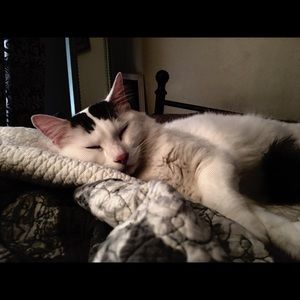 Meet your Posher, Michele