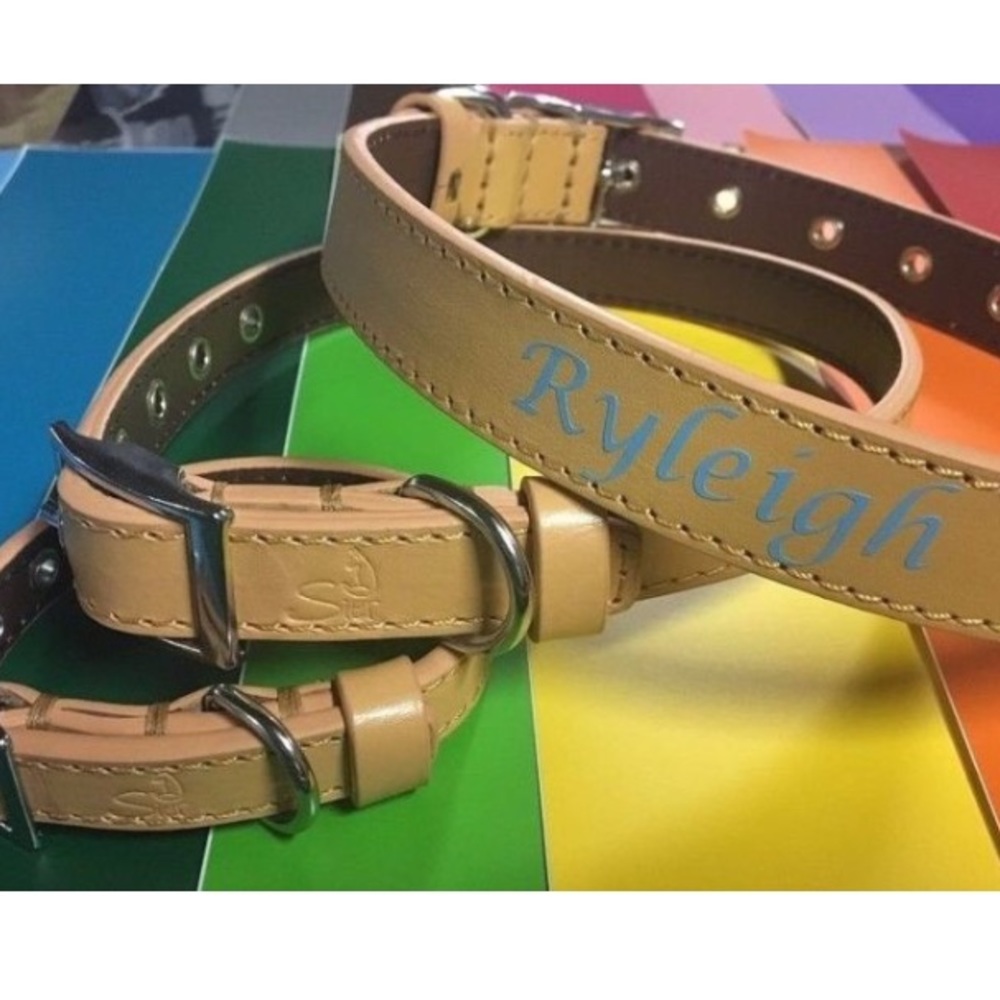 Small Tan Personalized Leather Dog or Cat Collar