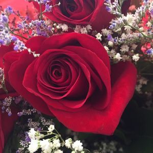 Meet your Posher, Allyssa