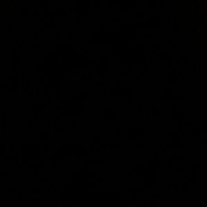 Meet your Posher, Britt