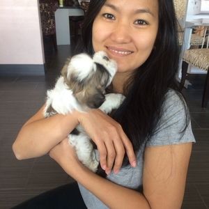 Meet your Posher, Tram