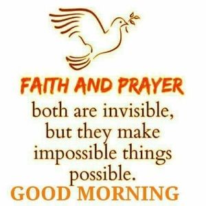 Meet your Posher, Stacy-ann