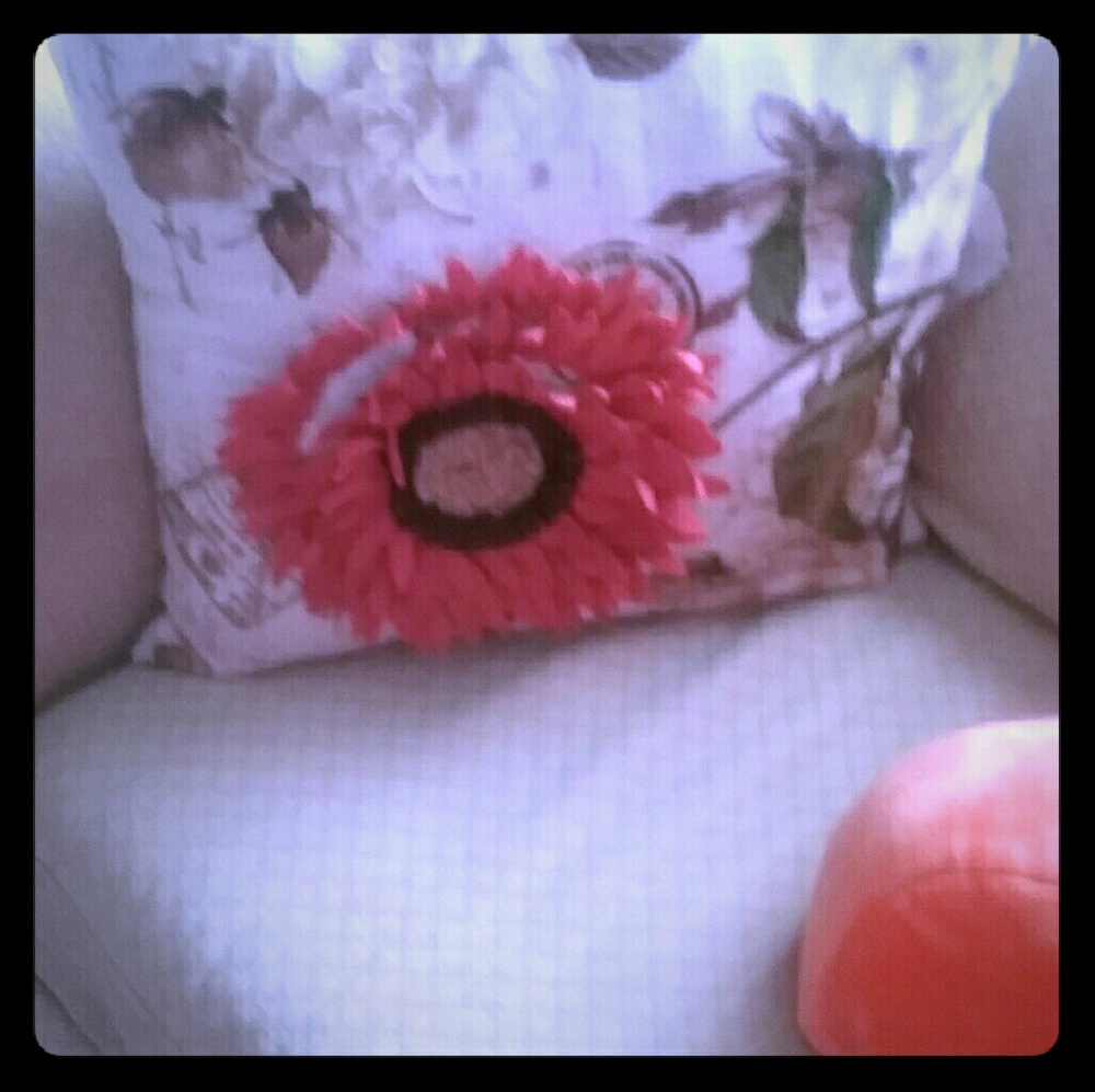Fairly new pillow