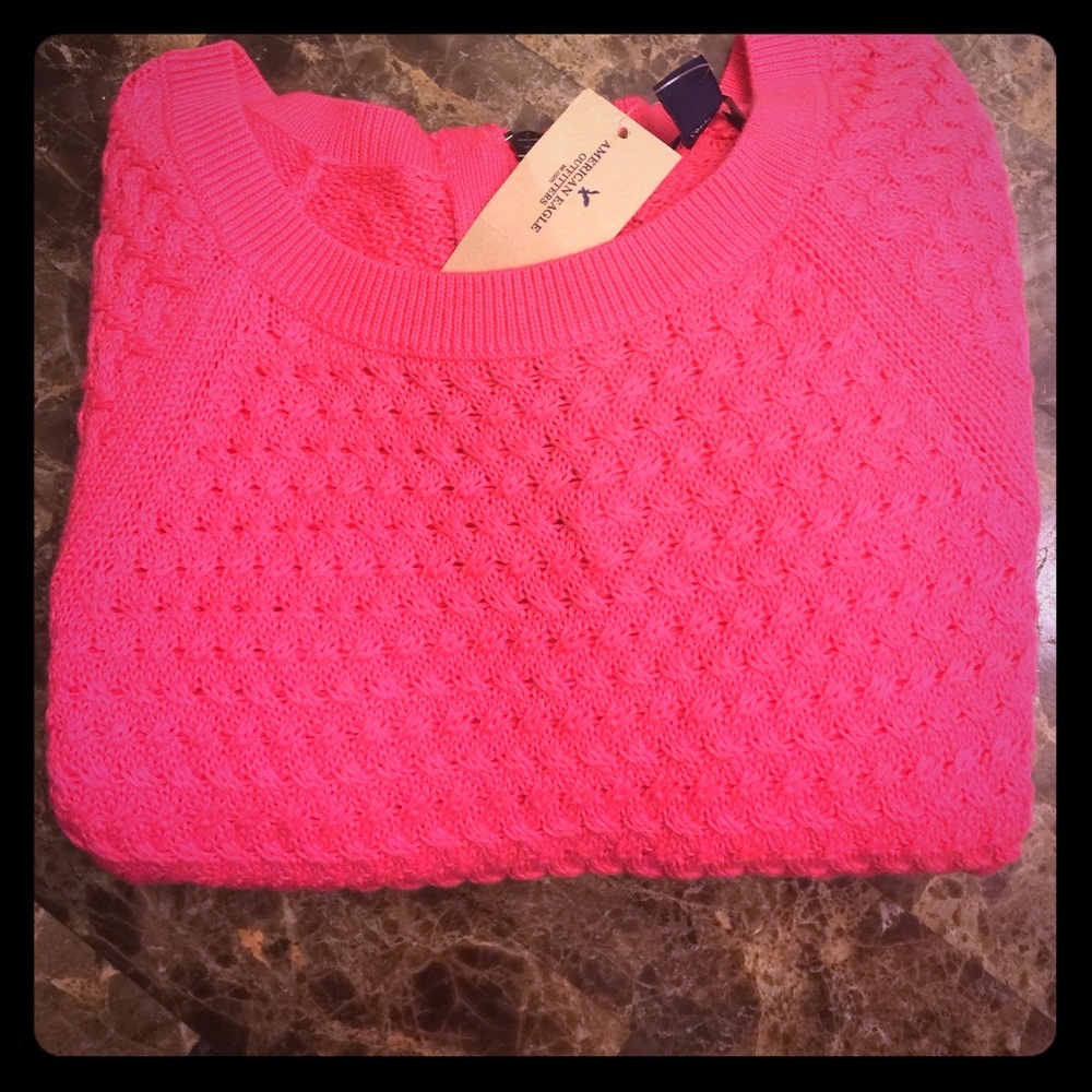 NWT American eagle sweater