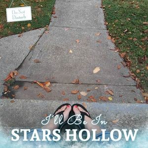 Meet your Posher, Darci