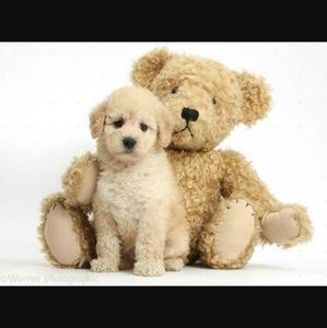 Meet your Posher, Teresa