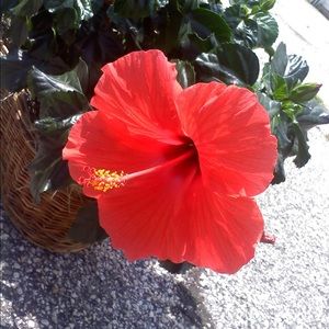 Meet your Posher, Kellie