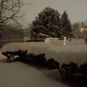 Meet your Posher, Donna