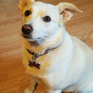 Meet your Posher, Lina
