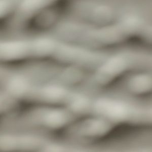 Meet your Posher, Cale