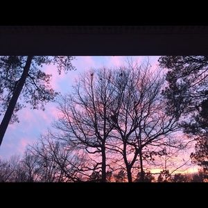 Meet your Posher, Maddie