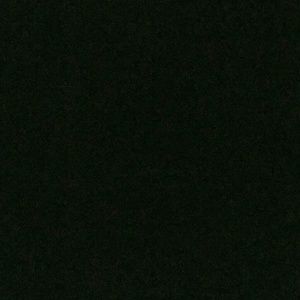 Meet your Posher, Mireya