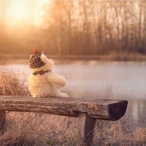 Meet your Posher, Elva