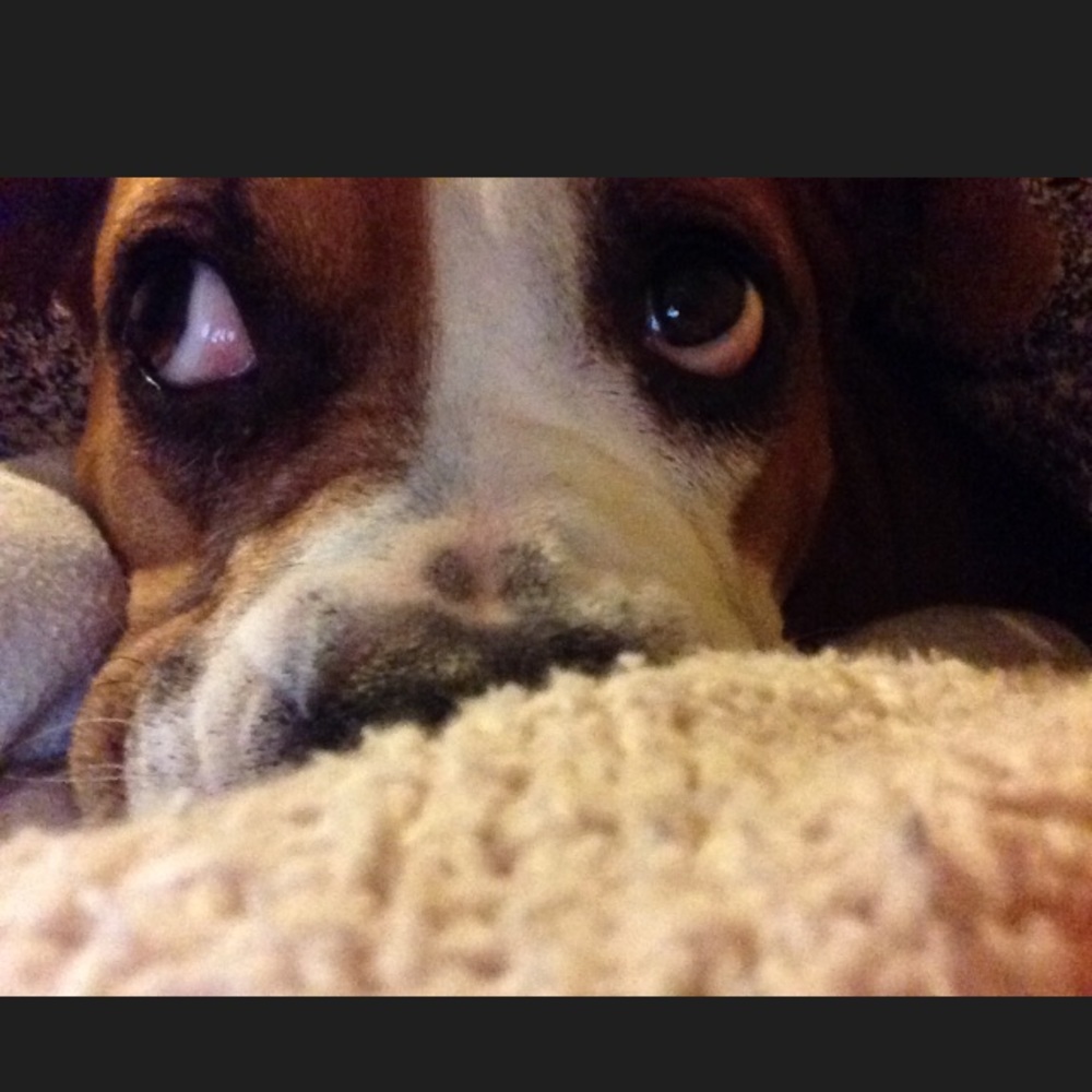 Meet your Posher, Mercievic