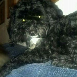 Meet your Posher, Pam