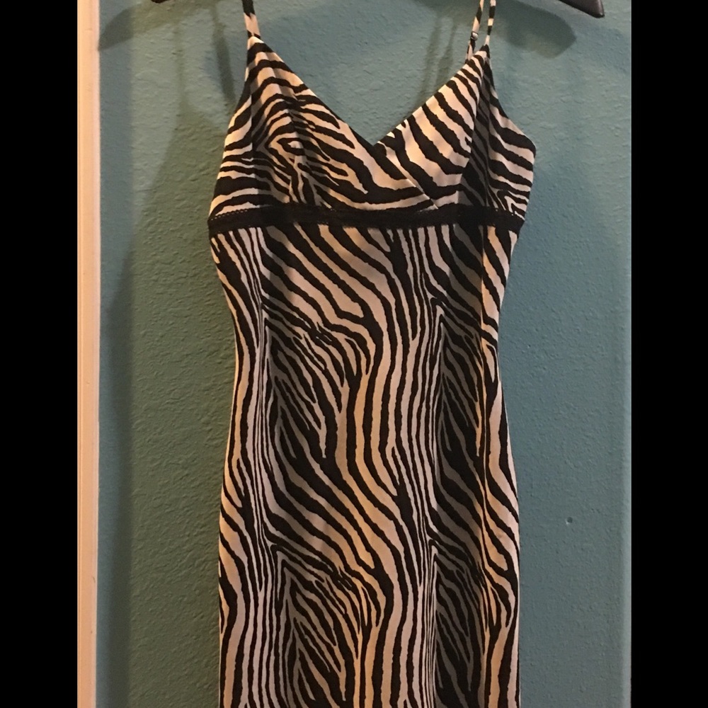 Express Zebra print dress