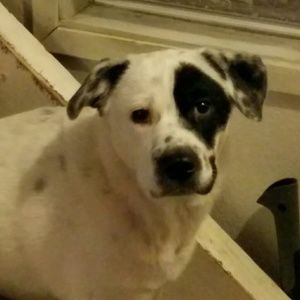 Meet your Posher, Jada