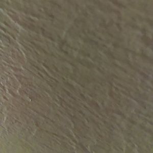 Meet your Posher, Evelyn