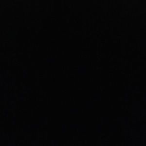 Meet your Posher, Will