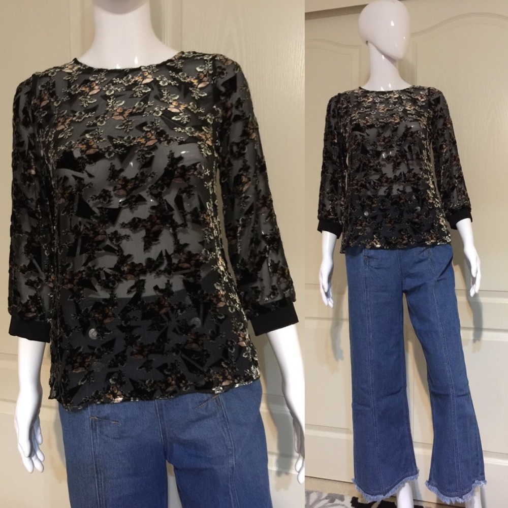 Rebecca Taylor shadow floral velvet blouse luxe