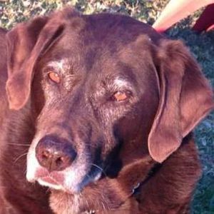 Meet your Posher, Darlene