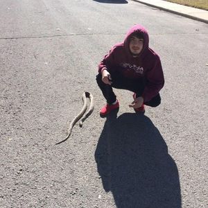 Meet your Posher, Matthew