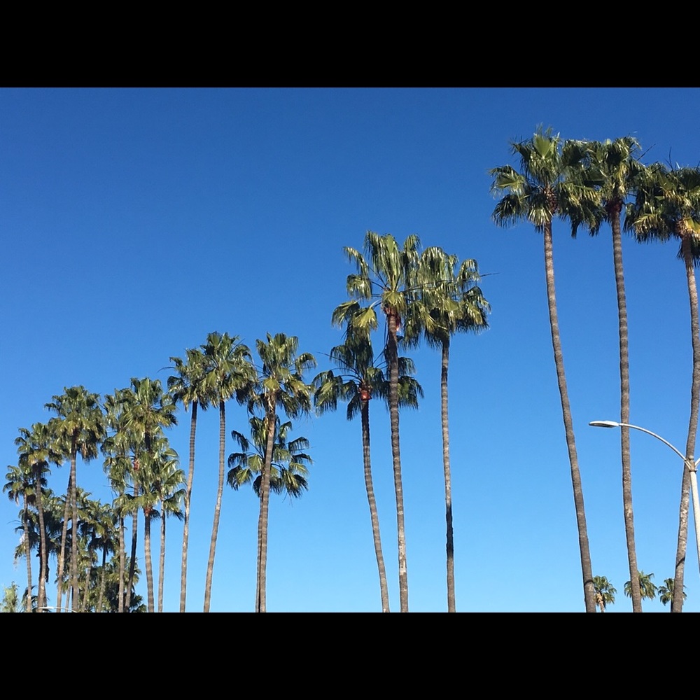 Meet your Posher, Mey