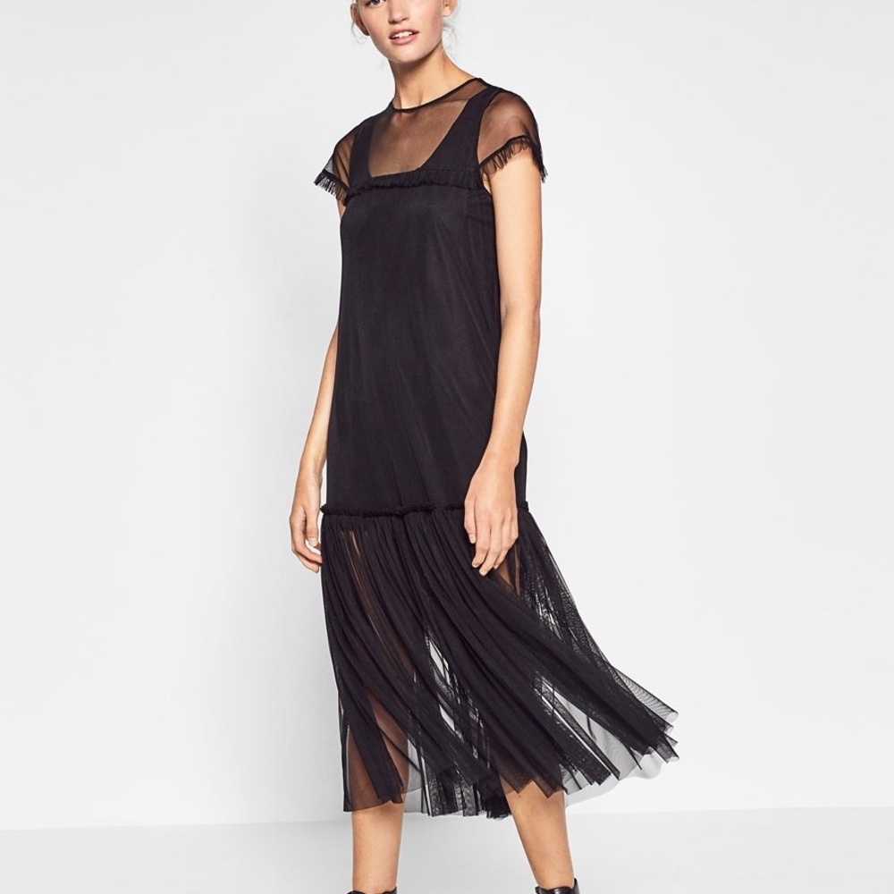 Zara tulle midi dress -- size medium— Host pick