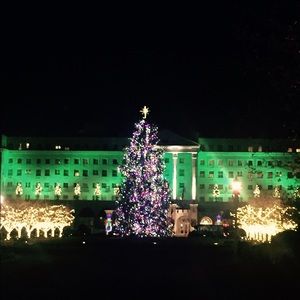 Meet your Posher, Bridgett