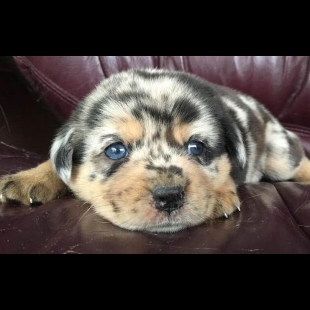 Meet your Posher, Colleen