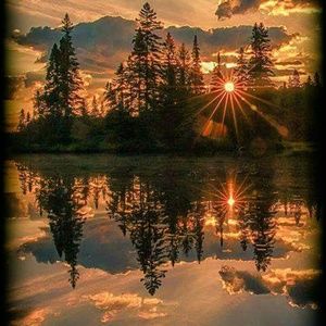 Meet your Posher, Pamela