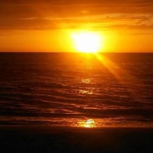 Meet your Posher, Roxanne