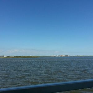 Meet your Posher, Rita