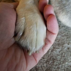 Meet your Posher, Terry