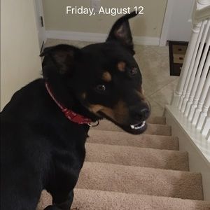 Meet your Posher, Jovie