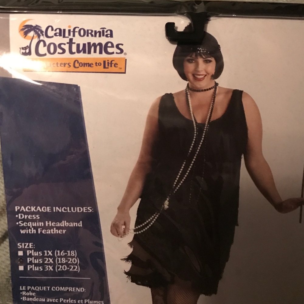 Flapper Dress/Costume
