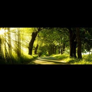 Meet your Posher, Ellen