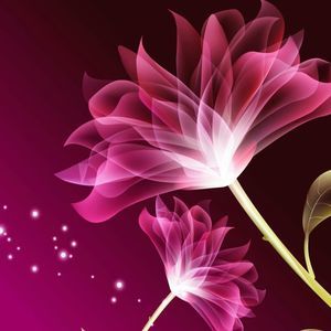 Meet your Posher, Cindy glenn