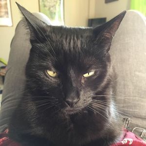 Meet your Posher, Jill