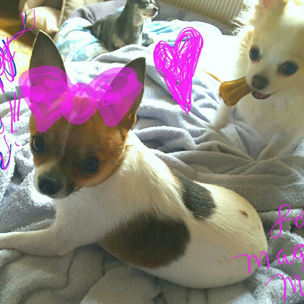 Meet your Posher, Barbara