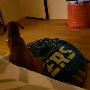 Meet your Posher, Vero