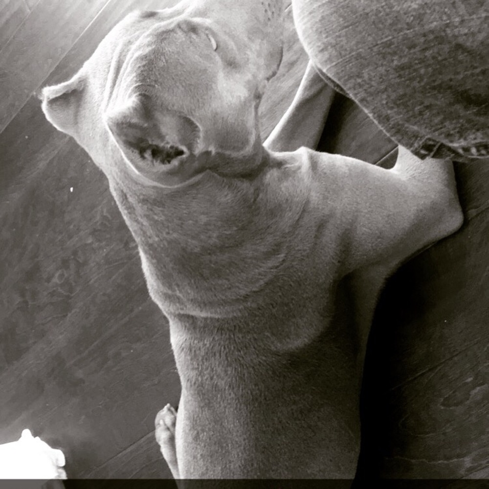 Meet your Posher, Pascual